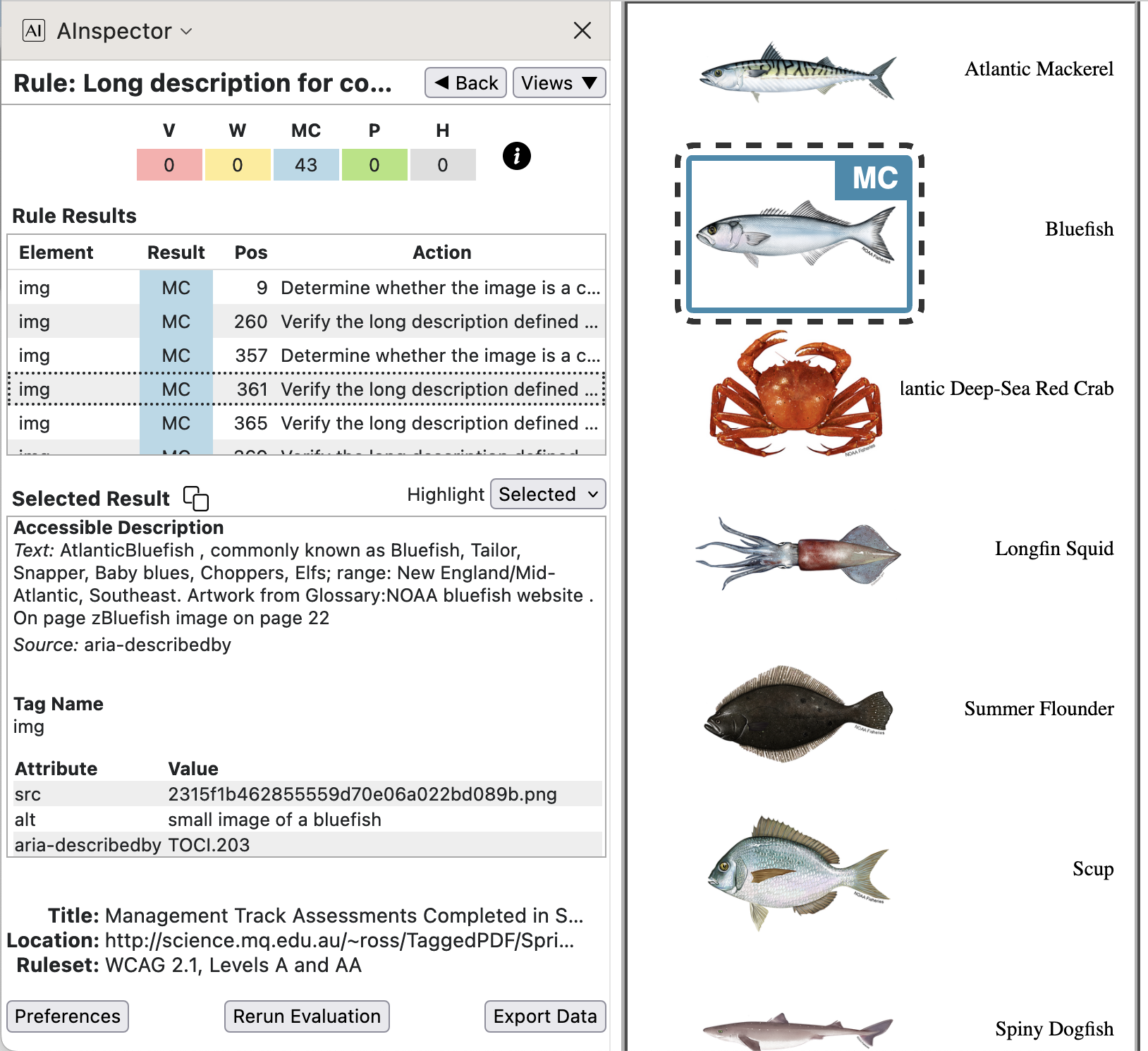 a longdesc is available for the Bluefish image